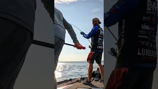 I Catch Nearly 300 Pounds of Smallmouth on the Final Day Our First Big WIN on Lake Champlain [upl. by Alasdair]