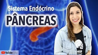 Pâncreas Sistema Endócrino  Anatomia etc [upl. by Ezri]