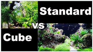 Cube Aquarium vs Standard Rectangle Tank Which One is Better [upl. by Macguiness]