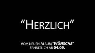 PUR  Herzlich Song  Interview [upl. by Auqinat]