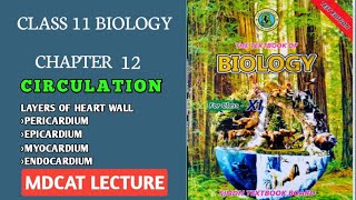 LAYERS OF HEART WALL  PERICARDIUM  CLASS 11 NEW BIOLOGY SINDH amp FEDERAL MDCAT LECTURE [upl. by Aker534]