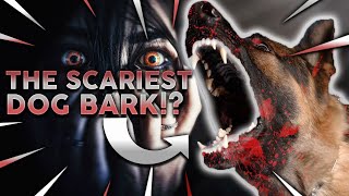 TOP 10 SCARIEST DOG BARKS Which Breed Has The Loudest Scariest Bark [upl. by Chura274]