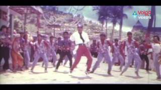 President Gari Pellam Songs  Paruvaala Kodi  Nagarjuna Akkineni Disco Shanti [upl. by Vasileior731]