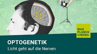 Optogenetik  Licht geht auf die Nerven [upl. by Doane328]