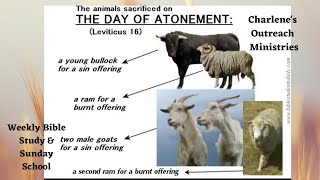 The Day of Atonement Leviticus 16 116 Sundays Sunday School Bible Study [upl. by Davison867]