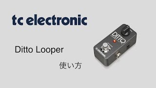 tc electronicDitto looper 使い方 [upl. by Ysnil]