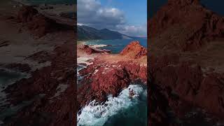 DiHamri marine protectorate Socotra Island 🏜️ [upl. by Assila]