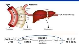 What is First pass metabolism of Drugs [upl. by Ahsienyt]