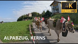 📍Kerns 2023  Alp withdrawal Kerns  Alpabzug  Switzerland 🇨🇭  4K [upl. by Yasmar]