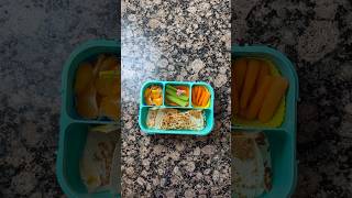 Easy amp Delicious Kids School Lunchbox shorts easylunch [upl. by Bucher]