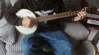 The Temperance Reel  Clawhammer Banjo [upl. by Hulen74]