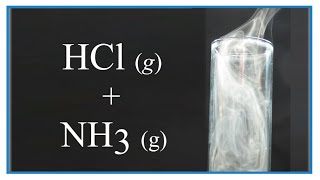 Reaction of NH3 g  HCl g Can two gases make a solid 🌪 [upl. by Hut386]