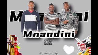 mnandin OFFICIAL AUDIO ft Amgion ampfelix man mpee wonga [upl. by Odnaloy]