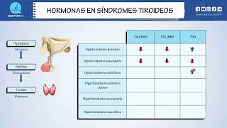 HORMONAS EN SINDROMES TIROIDEOS [upl. by Hecht]