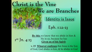 Christ is the Vine We are the Branches  Clif Fox  2024Mar10  Groesbeck church of Christ [upl. by Floridia]