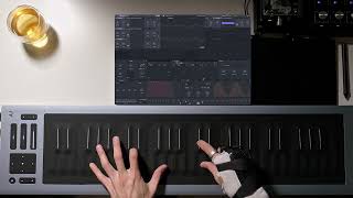 400 Roli Seaboard Rise 2 Improvisation with CS80 Patch [upl. by Ahsatan702]