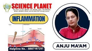 INFLAMATION II BY ANJU MAM II SCIENCE PLANET II [upl. by Aber907]