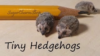 Tiny Cute Hedgehog Polymer Clay Tutorial  Bonus Video [upl. by Whitcher]