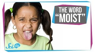 Why We Hate the Word Moist [upl. by Col]