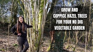 How To Coppice Hazel Trees  What is Coppicing  How To Grow Hazel For Firewood amp Woodchip [upl. by Einaeg508]