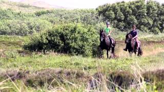 Puur Terschelling [upl. by Atlee]