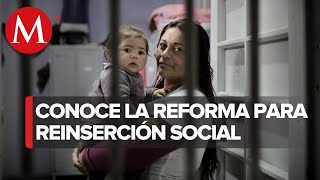 ¿En qué consiste la iniciativa de reinserción social de presos [upl. by Idihsar]