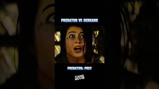 predator vs beruang movie alurfilm film [upl. by Nwahsud]