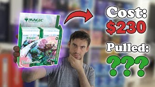 Bloomburrow Value One Month After Release Collector Booster Box Opening [upl. by Rramo]