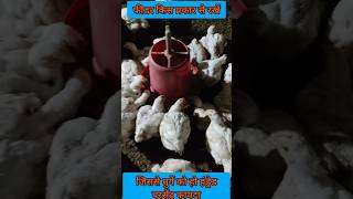 poultry feeder and drinker managementshortvideo shortsfeed youtubeshorts shorts [upl. by Eellek]