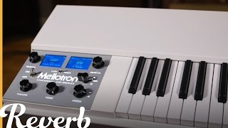 Mellotron M4000D Mini  Reverb Demo Video [upl. by Kenna]