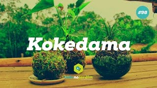 Como fazer e cuidar do kokedama [upl. by Silecara189]