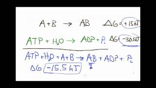 Lets Think about reaction coupling [upl. by Marleah199]