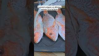 Comment préparer un délicieux poisson frit à la ferme poissonfrit recette food shorts friture [upl. by Katrina371]