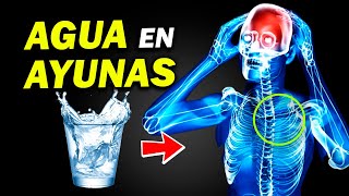 🔥 Lo que 𝗥𝗘𝗔𝗟𝗠𝗘𝗡𝗧𝗘 Sucede Cuando Bebes Agua con el Estómago Vacío La CIENCIA Detrás del Ayuno [upl. by Meesaw662]