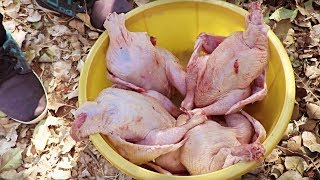 WORLDS BEST 4 FULL CHICKENS 🍗🍗 NO 1 CHICKEN ROAST RECIPE [upl. by Anujra]