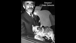 Emperor Haile Selassie His Puppies N Other Animals [upl. by Nigen947]