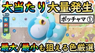 【色違いポッチャマ①色厳選】最大最小も狙えるおすすめの大量発生スポットをご紹介！御三家色証厳選に最適（ポッタイシエンペルト【 ポケモンSV 】 [upl. by Atirehs]