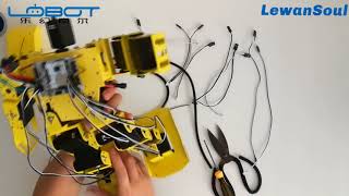 LewanSoul H30 Humanoid Robot Wiring Video [upl. by Alexa]