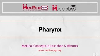 Live class on Pharynx by Dr Suguna [upl. by Xonnel]