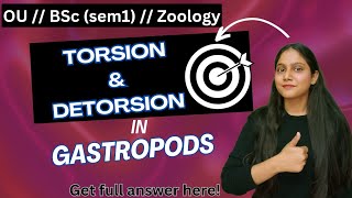 torsion and detorsion in gastropods  osmania University  BSc Zoology sem 1  humera [upl. by Haiel]