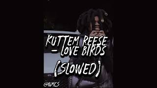 Kuttem Reese  Love Birds Slowed SLOWED [upl. by Timi]