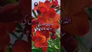 Allah duniya me saza kaise deta h😱😱😱😱 allah shorts viralvideo [upl. by Dubenko448]