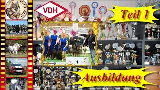 Hundeausstellung 16  Ringtraining für die Show  1 Lektionen  Hund erfolgreich ausstellen  Tips [upl. by Jackquelin]