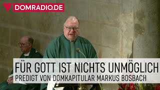 Für Gott ist nichts unmöglich – Predigt von Domkapitular Markus Bosbach im Kölner Dom [upl. by Enomal530]