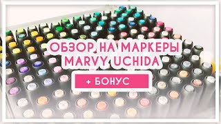 Обзор на маркеры Marvy Uchida линейки Le Plume скетчбуки InkBerry [upl. by Iblehs66]