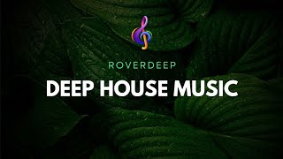 1Deep House Primetym mix • RoverDeep • House music [upl. by Moselle]