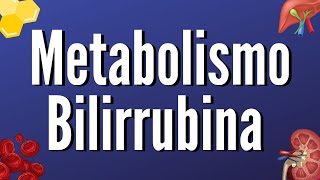 Metabolismo Bilirrubina Explicado Claramente [upl. by Ahsiuqal]