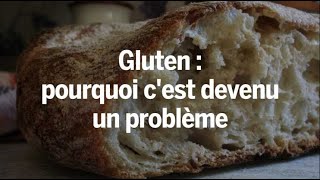 Gluten  pourquoi cest devenu un problème [upl. by Kreitman]