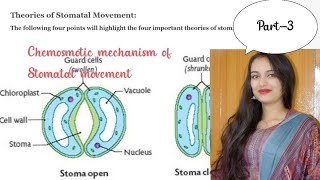 Chemiosmotic stomatal movementpart3 [upl. by Childs]