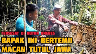 SEMPAT TERSESAT amp BERTEMU MACAN🐯 MANG CASWIN  SEUMUR HIDUP BARU KALI INI SAYA MELIHATNYA LANGSUNG😱 [upl. by Setsero80]